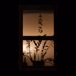 WINDOW 162