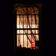 WINDOW 545