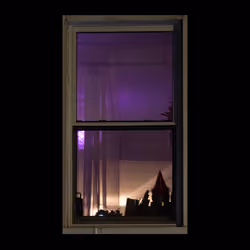 WINDOW 77