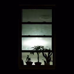 WINDOW 572