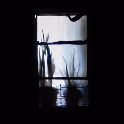 WINDOW 579