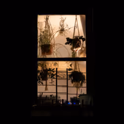 WINDOW 584