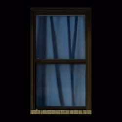 WINDOW 980