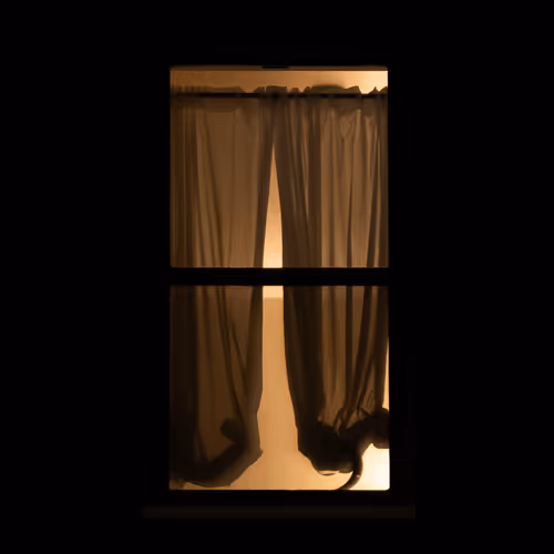 WINDOW 313