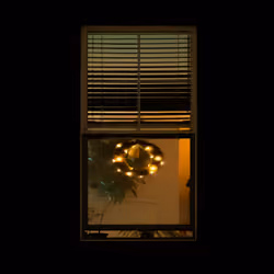 WINDOW 81
