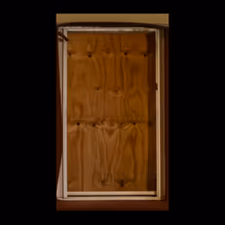WINDOW 868