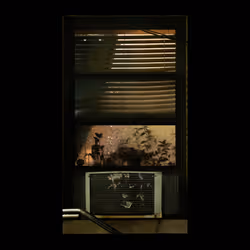 WINDOW 355