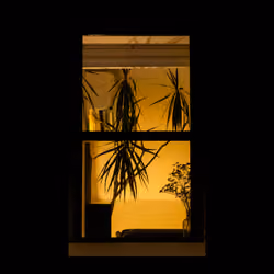 WINDOW 730