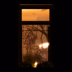 WINDOW 662
