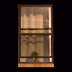 WINDOW 419