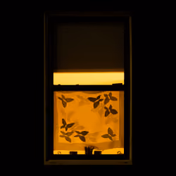 WINDOW 527