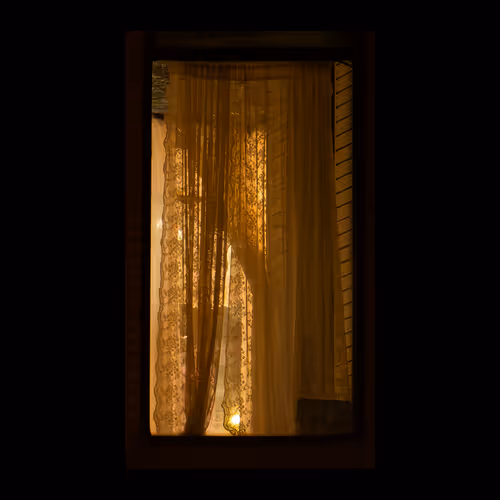 WINDOW 990