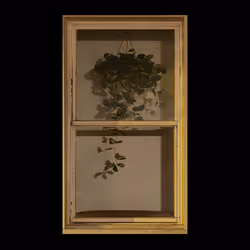 WINDOW 25