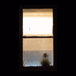 WINDOW 780