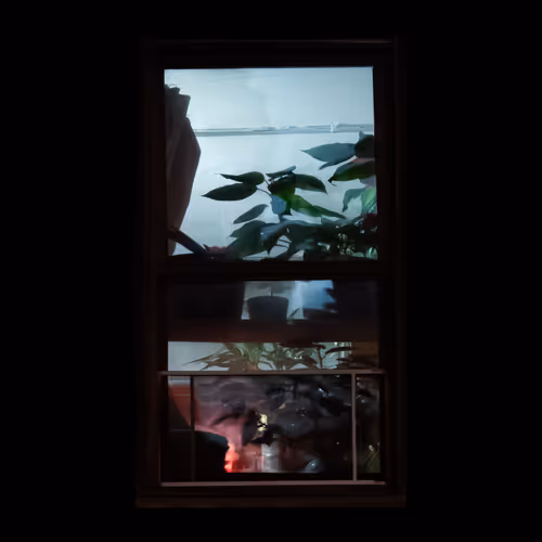 WINDOW 695