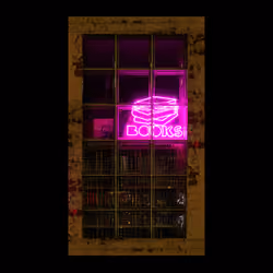 WINDOW 542