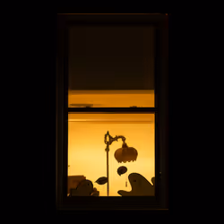 WINDOW 860