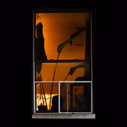 WINDOW 101