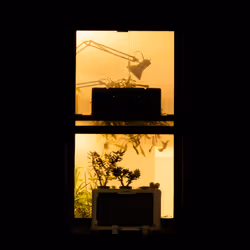 WINDOW 697