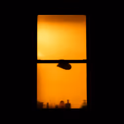 WINDOW 585
