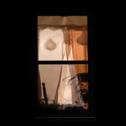 WINDOW 31