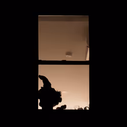 853