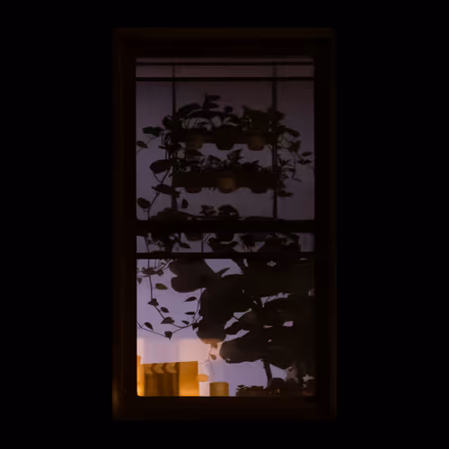 WINDOW 364