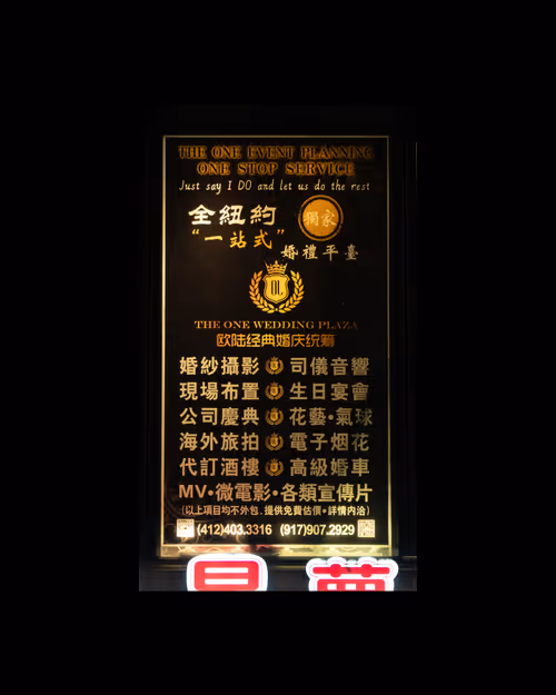 Item #704 Media