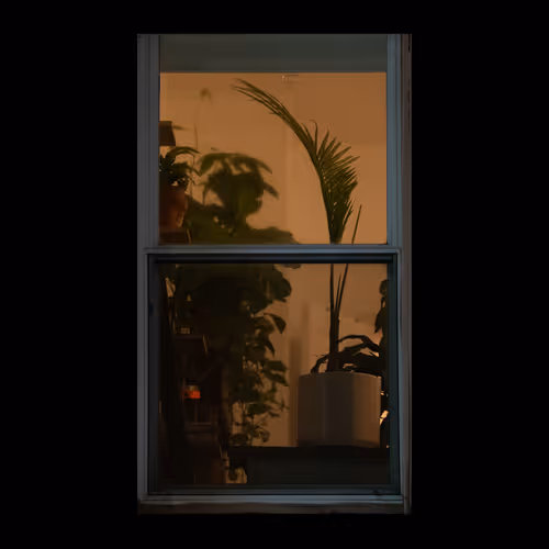 WINDOW 85