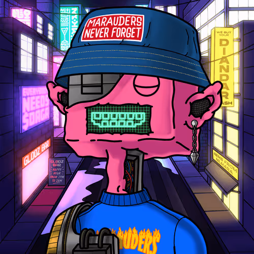 Metaverse Marauders
