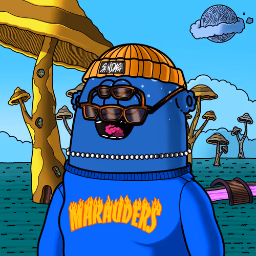 Metaverse Marauders