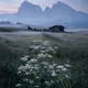 The Journey Landscapes by Sara Boychuk