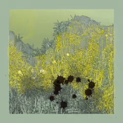 Landscape with Carbon Capture #9894