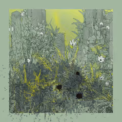Landscape with Carbon Capture #3115