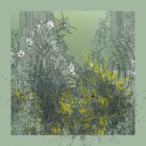 Item #2846428196 Media