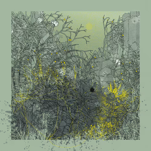 Item #2160949764 Media