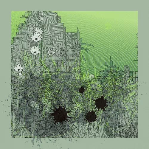 Item #516831762 Media