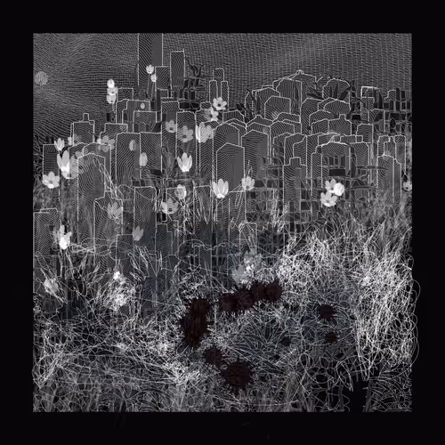 Item #1911673914 Media