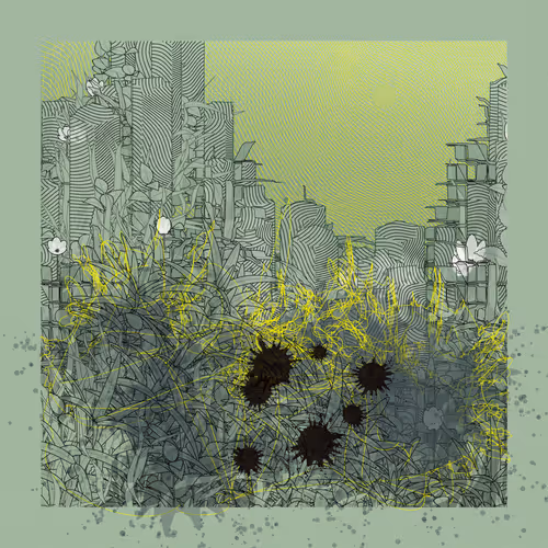 Carbon Capture Zancan