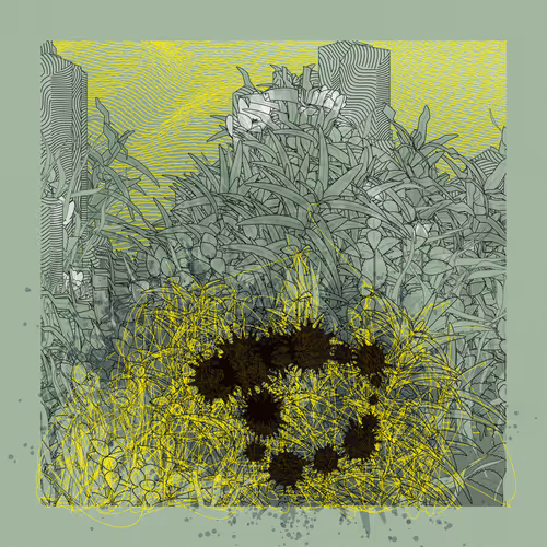 Item #1041613182 Media