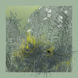 Landscape with Carbon Capture #5415