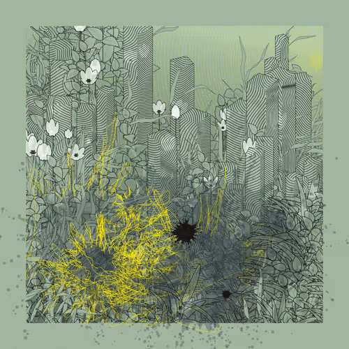 Item #4105105935 Media