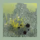 821152226