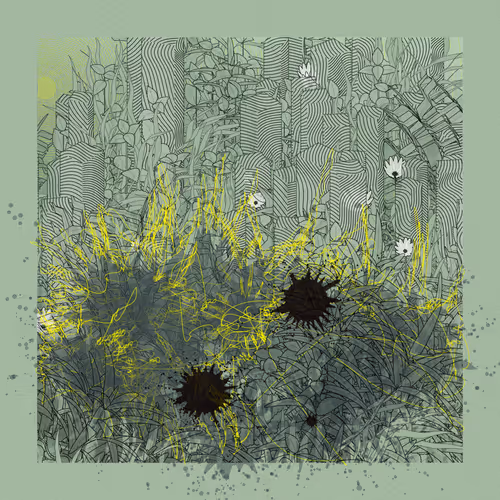 Item #2475353371 Media