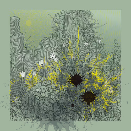 Carbon Capture Zancan