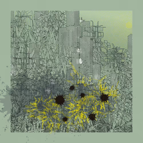 Item #2064126565 Media