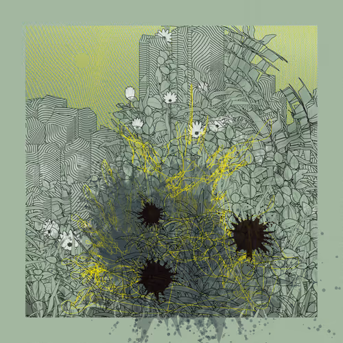 Item #591764523 Media