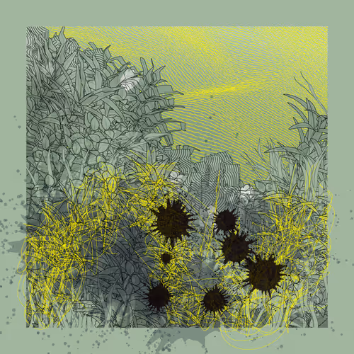 Item #3594668380 Media