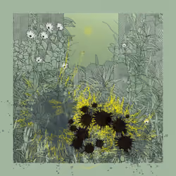 Landscape with Carbon Capture #9643