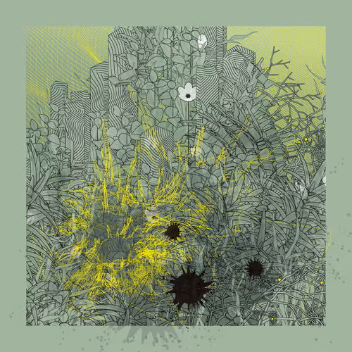 Item #2341107541 Media